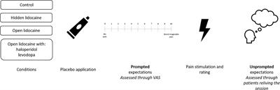 Expectations: How and when do they contribute to placebo analgesia?